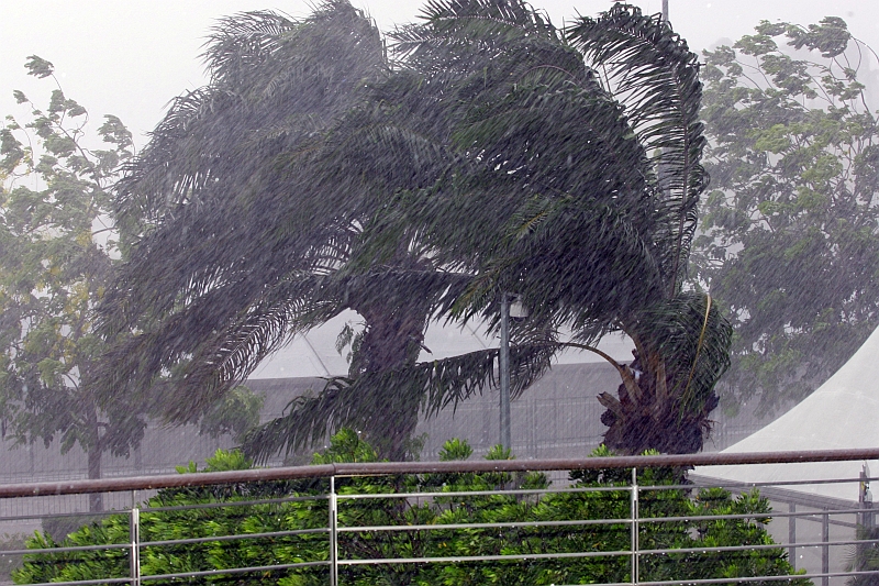 1238926805mal_storm