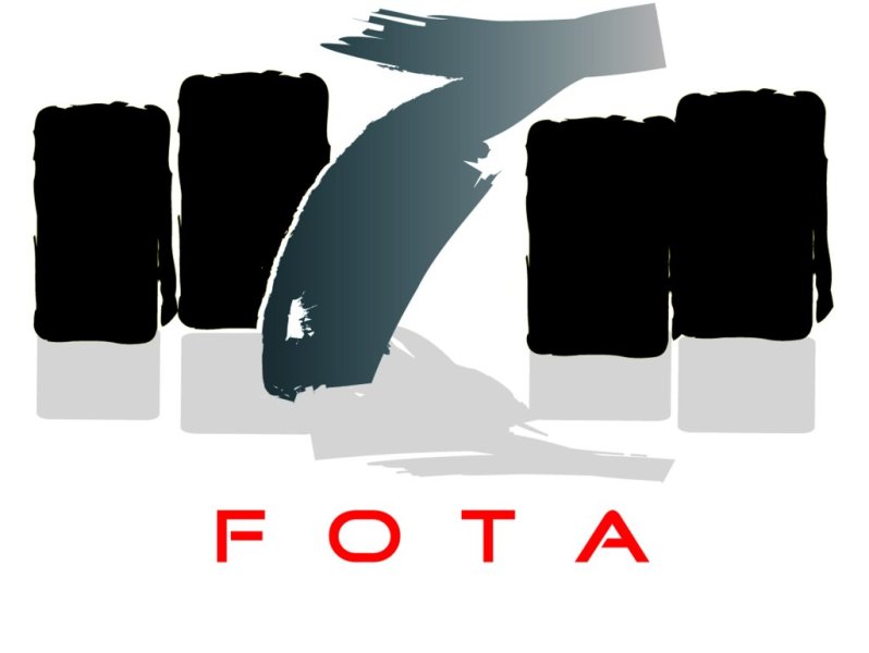 1256723290fota-logo