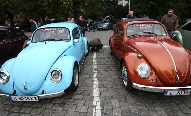 1192386661VW Kostenurki
