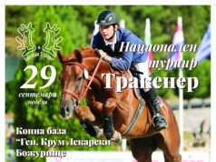 Коне и конски сили на един манеж