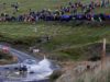 Wales Rally Great Britain, Timo Gottschalk