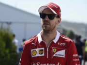 Sebastian Vettel, FIA