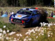 Thierry Neuville
