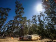 Hayden Paddon, Hyundai