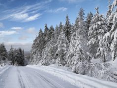 Rally Sweden, snow, M-Sport