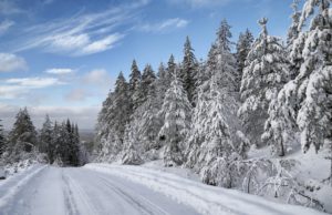 Rally Sweden, snow, M-Sport