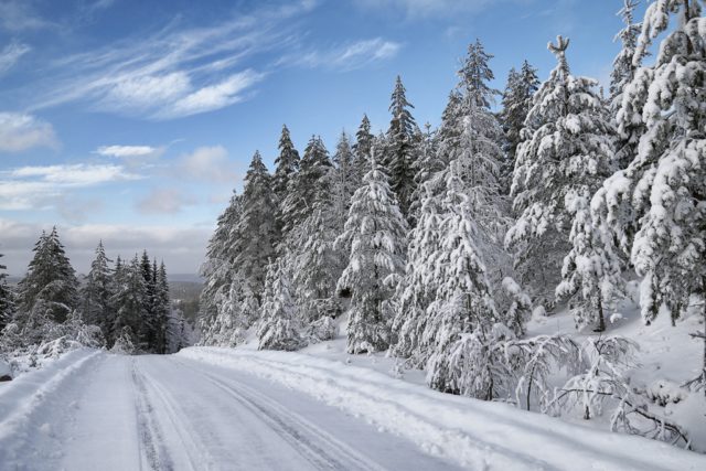 Rally Sweden, snow, M-Sport