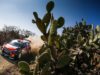 Sebastien Loeb