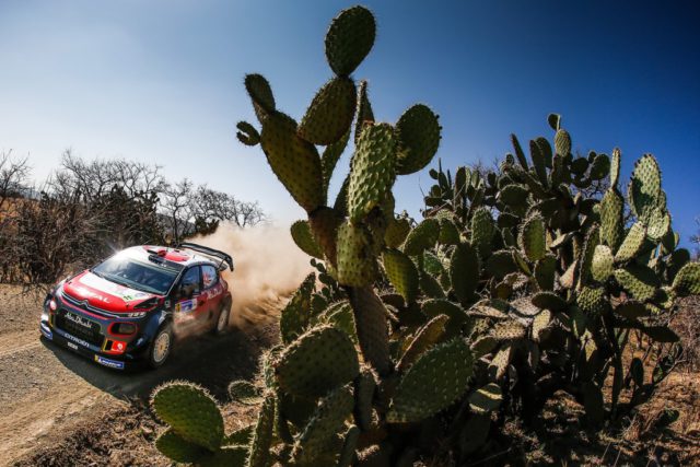 Sebastien Loeb