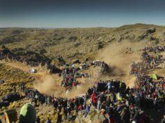 Rally Argentina, M-Sport