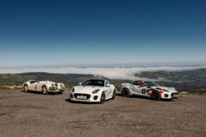 Jaguar F-Type rally