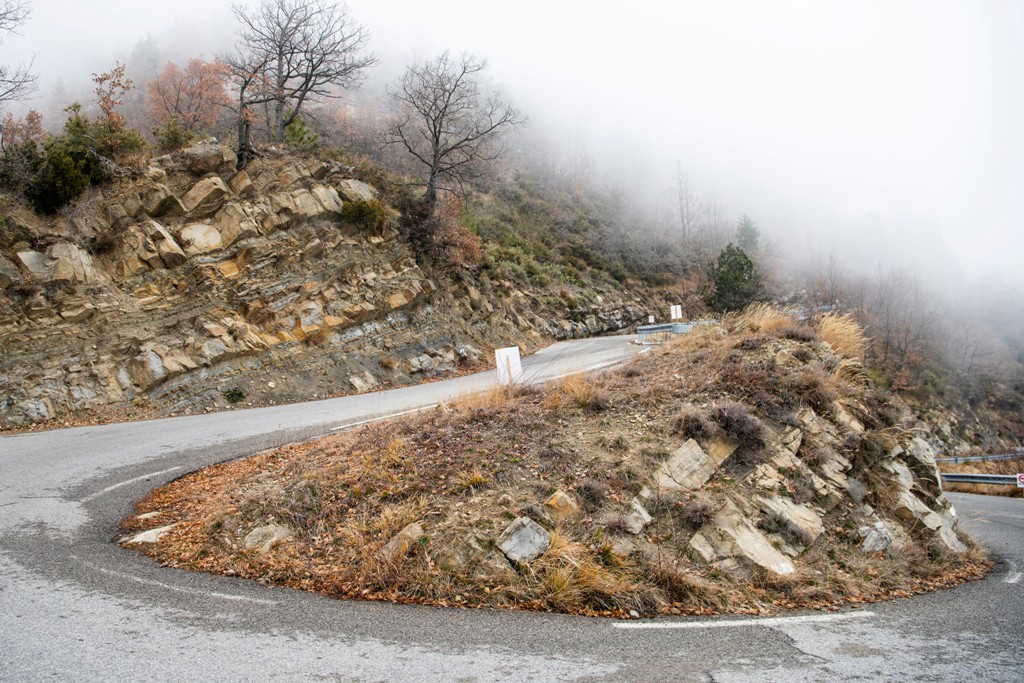 Rally Monte Carlo, WRC