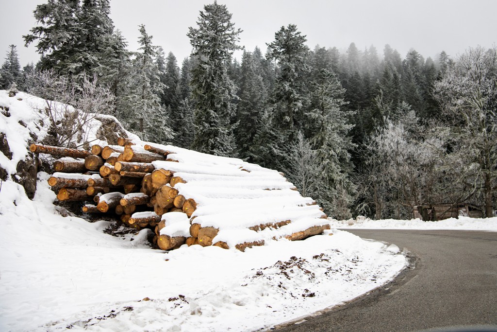 Rally Monte Carlo, WRC