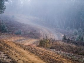 рали Чили, WRC