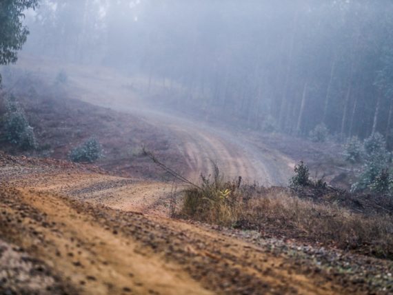 рали Чили, WRC