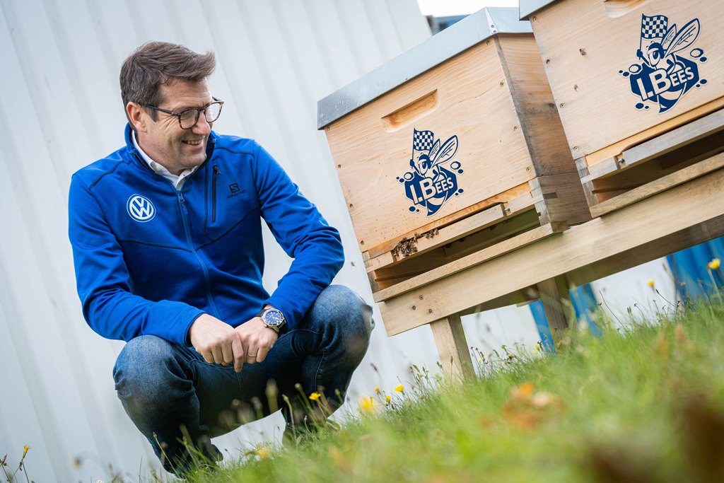 Франсоа-Ксавие Дьомезон; I.Bees
