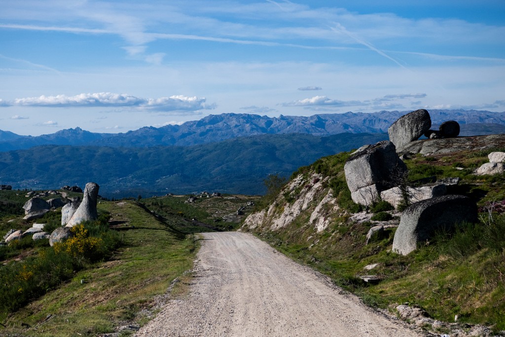127 рали Португалия, WRC