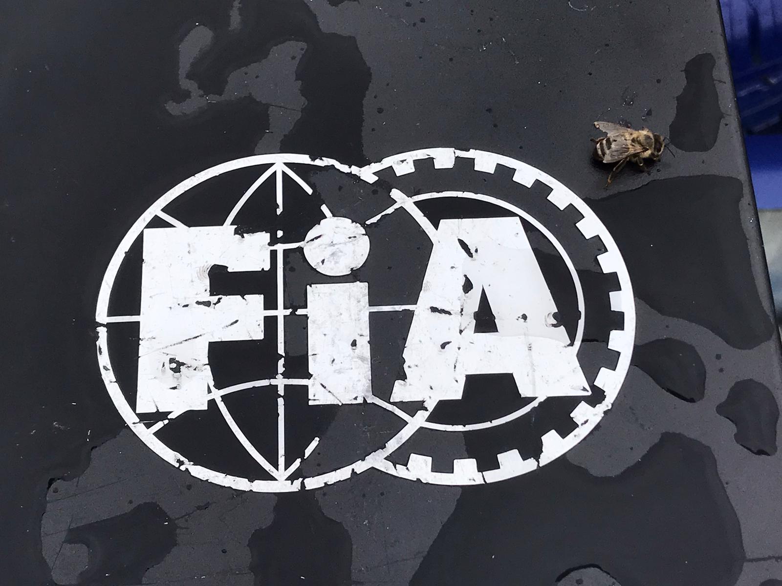 100 ФИА F1