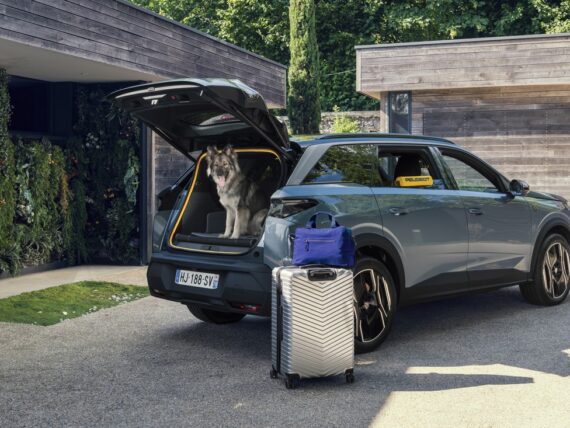 Peugeot E-5008 Dog Edition